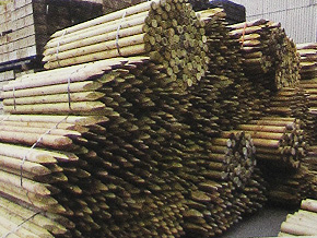 抗菌木材の製造工程4